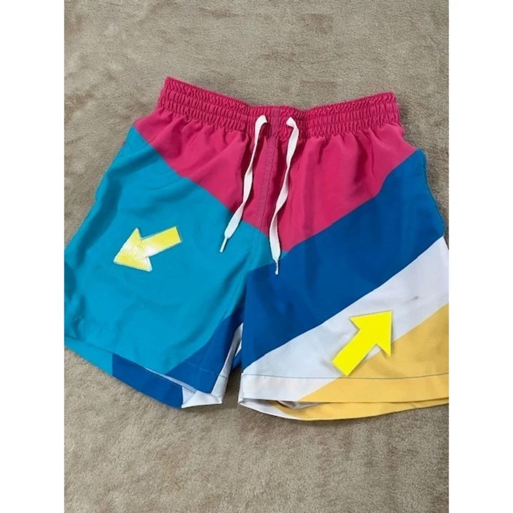 Chubbies Mens Shorts size Small Lined Multicolor 5.5